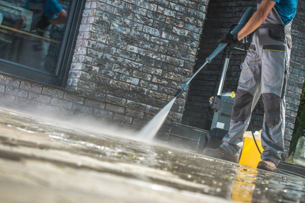 Best Roof Cleaning and Mildew Removal in Saint Johns University, MN